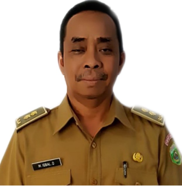 M. IQBAL DEWANTO,ST, MM